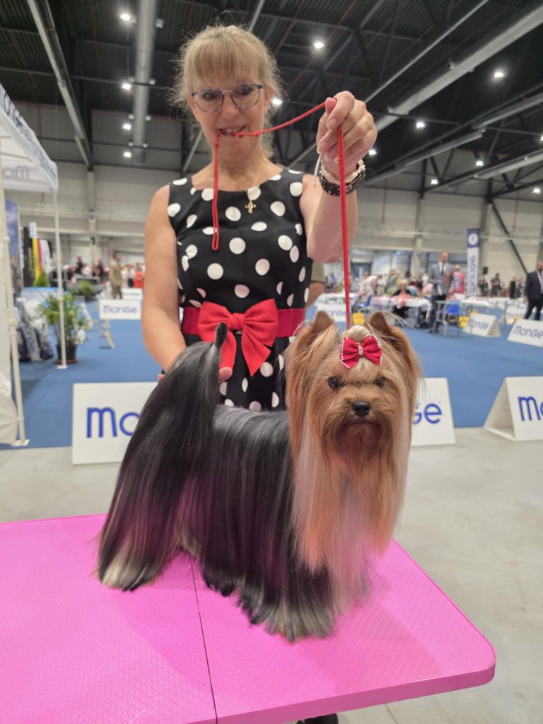 CH. Ultra sexy du Mas des Anges - 1er Excellent