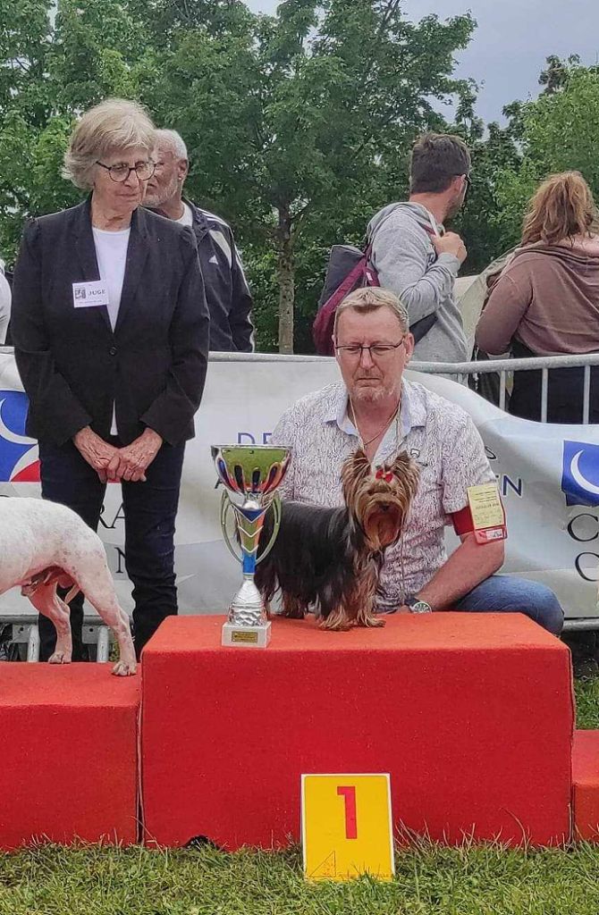 CH. Ultra sexy du Mas des Anges - 1er Excellent, CACS Jeune, Meilleur Jeune , BOG !!!