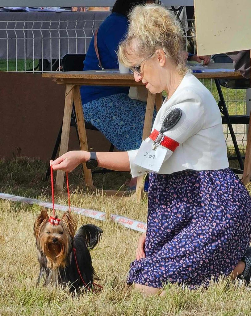 CH. Ultra sexy du Mas des Anges - 2eme Excellent Classe Jeune Femelles