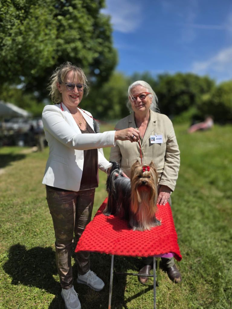 CH. Ultra sexy du Mas des Anges - 1er Excellent, CACS, BOS Classe Intermédiaire