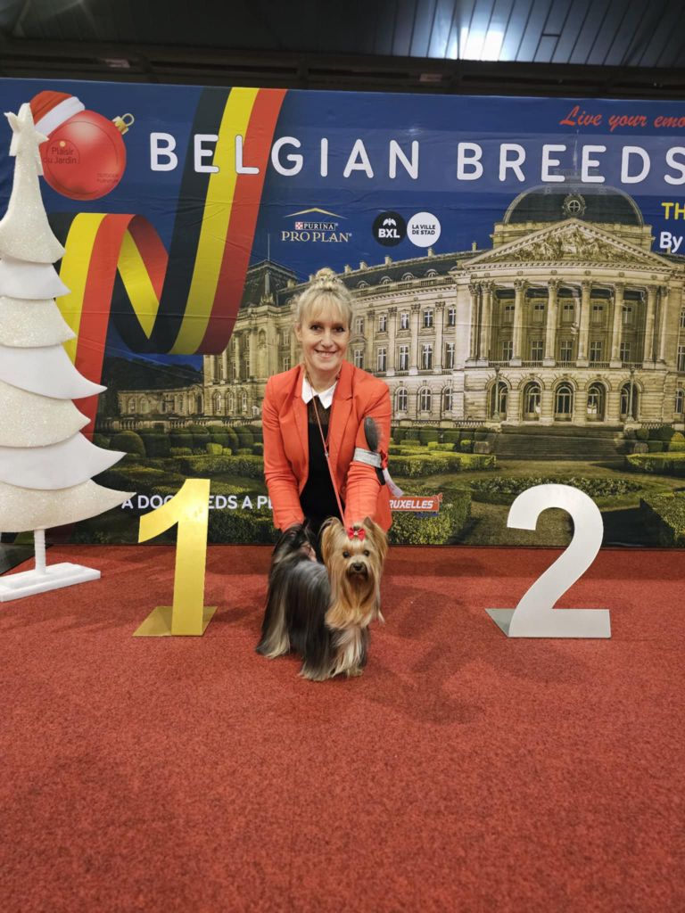 CH. Ultra sexy du Mas des Anges - 1er Excellent. Meilleur Jeune