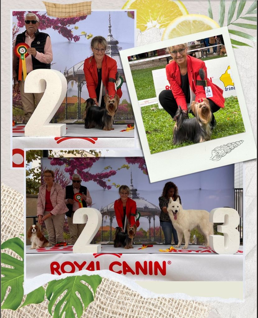 CH. Ultra sexy du Mas des Anges - 1er Excellent ! CACS Jeune ! BOB J ,BOG 3 , 2eme BIS J !!