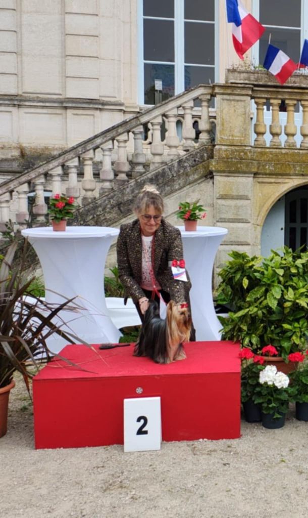 CH. Ultra sexy du Mas des Anges - 1er Excellent ,classe intermédiaire, CACS, BOB, 2EME BOG 3