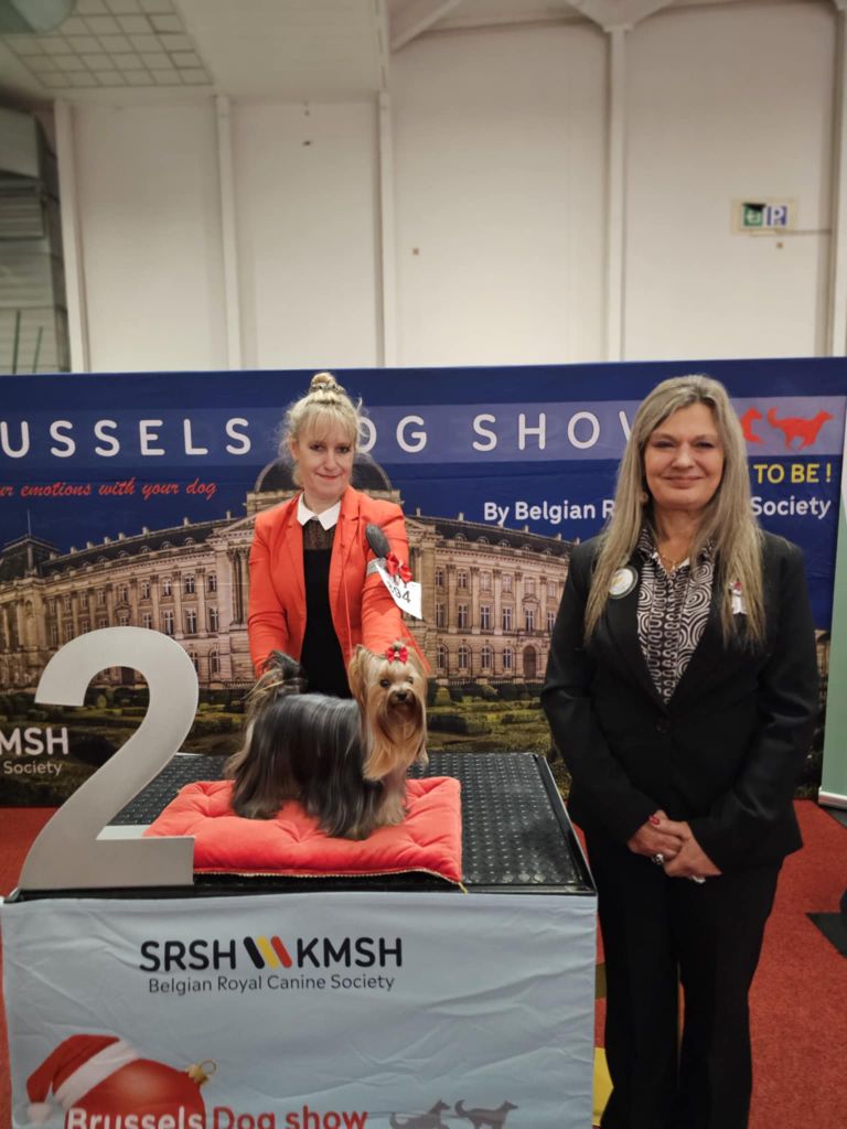 CH. Ultra sexy du Mas des Anges - 2eme Excellent Classe Jeune Femelles