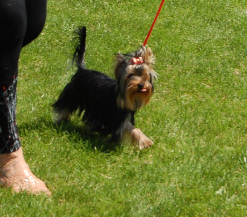 Publication : de Clairamour Auteur : BRIERE Claire