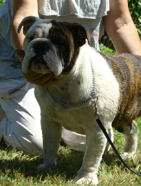 Dam' bertie du Menhir de Roqueblanque