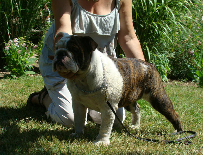 Dam' bertie du Menhir de Roqueblanque