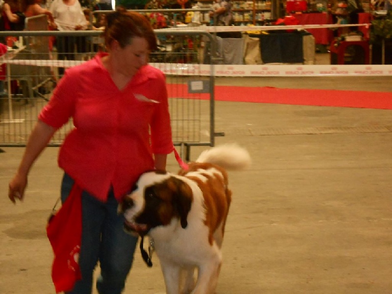 Nikolai dit joker van ' t hof ten eynder - trés bon