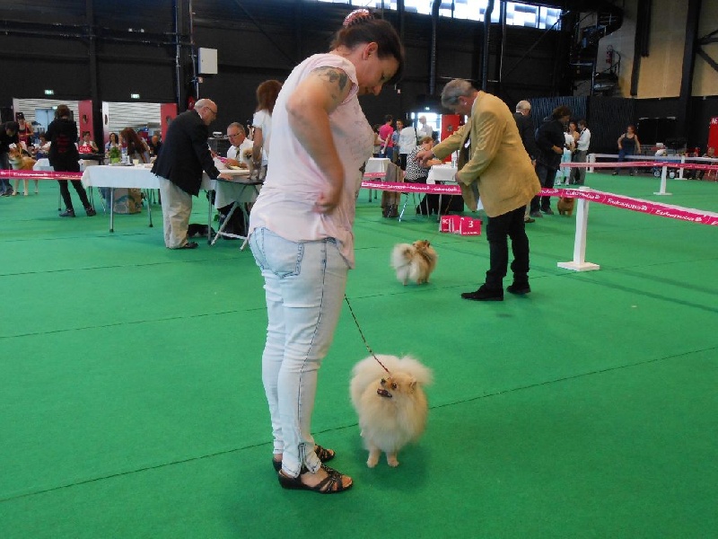 Hambre de l'ange aux papillons - 2eme EXCELLENT