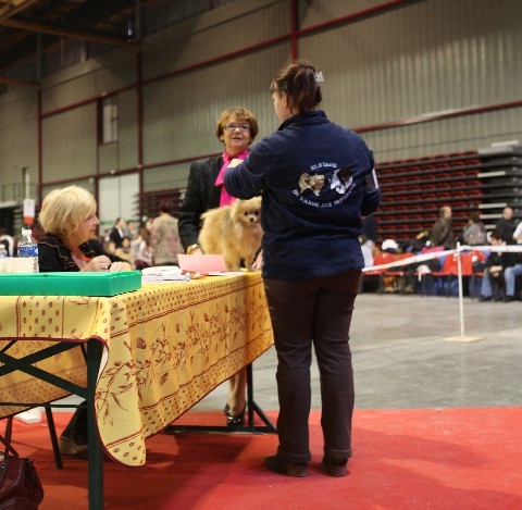 Hambre de l'ange aux papillons - 1er excellent meilleur jeune