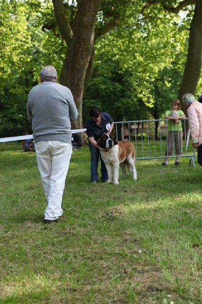 Hecume de l'ange aux papillons - EXCELLENT