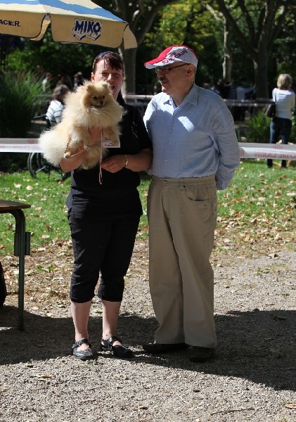 Hambre de l'ange aux papillons - 1ER EXCELLENT MEILLEUR JEUNE