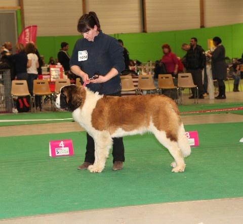 Hecume de l'ange aux papillons - 2eme Excellent