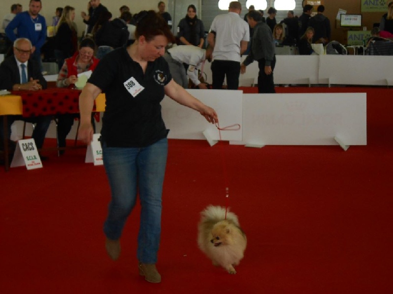 Jiminy de l'ange aux papillons - 1ER EXCELLENT meilleur jeune