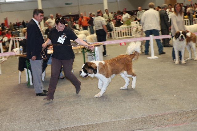 Hamande de l'ange aux papillons - EXCELLENT