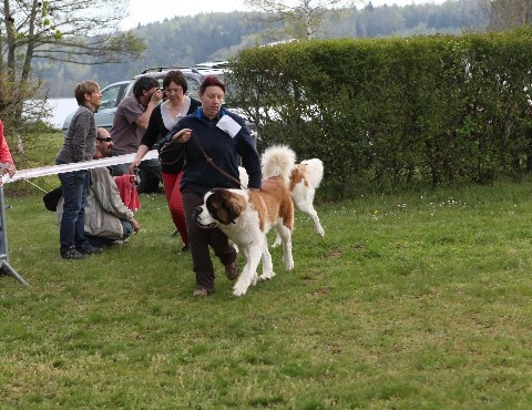 Hamande de l'ange aux papillons - TRES BON