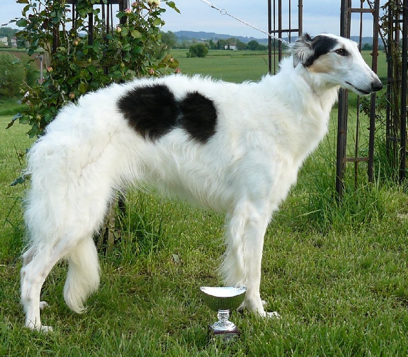 Publication : du Clos Vremontois