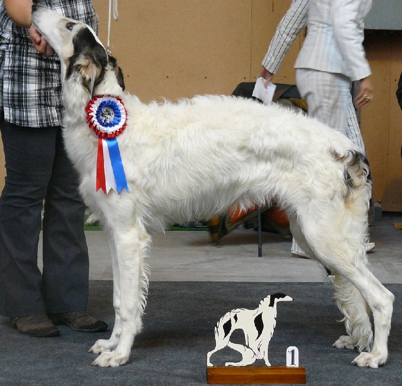 Publication : du Clos Vremontois