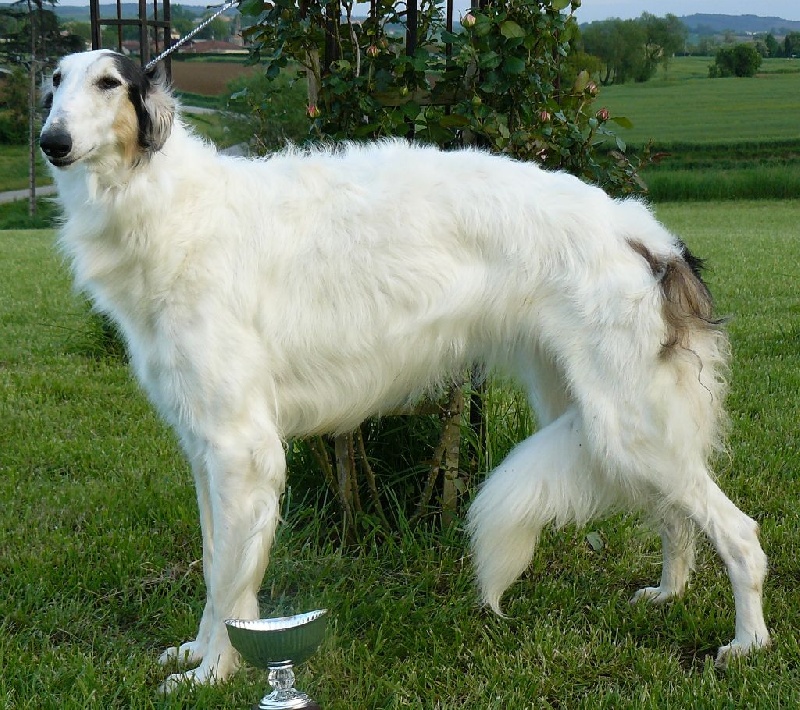 Publication : du Clos Vremontois