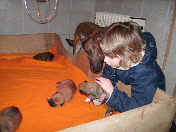 Publication : des Loups de Saint-Benoît