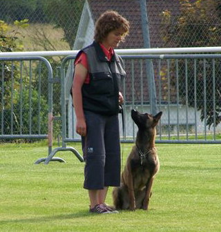Publication : des Loups de Saint-Benoît