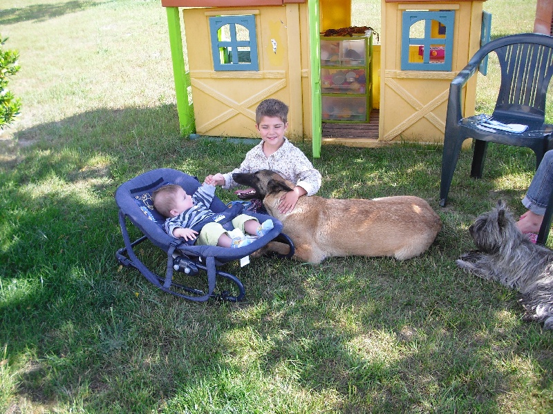 Publication : des Loups de Saint-Benoît