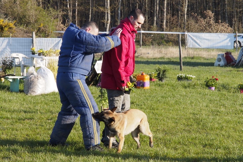 Héra des Loups de Saint-Benoît - Brevet de mondioring