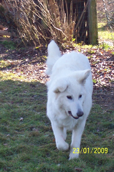 Publication : Des chemins du poitou