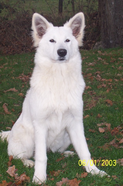 Publication : Des chemins du poitou