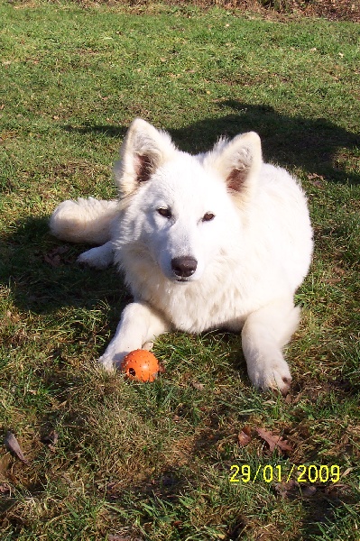 Publication : Des chemins du poitou