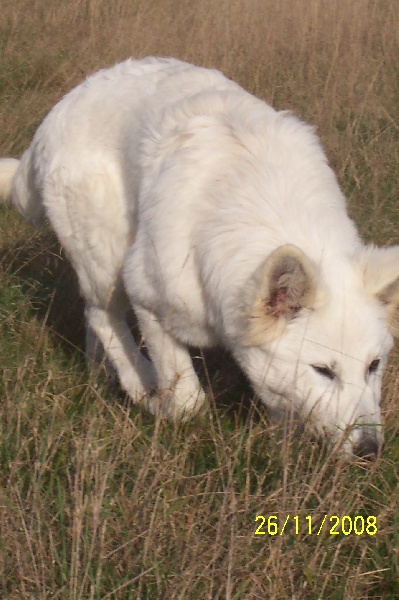 Publication : Des chemins du poitou