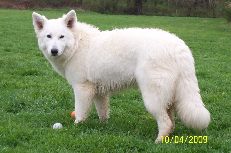 Publication : Des chemins du poitou