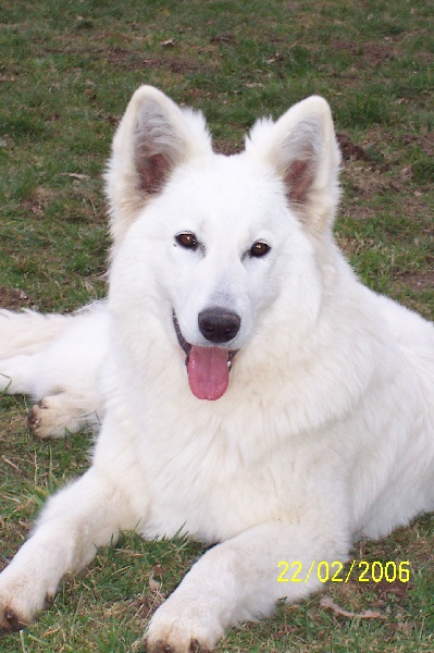 Publication : Des chemins du poitou