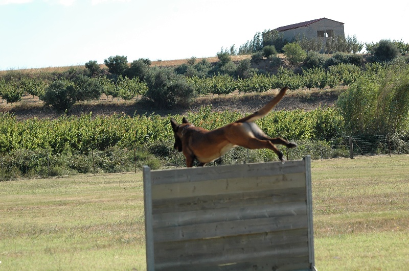 Publication : Natif du Must