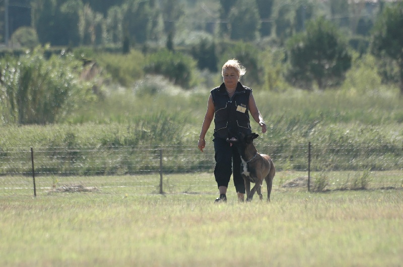 Publication : Natif du Must