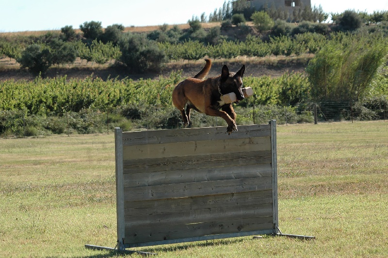 Publication : Natif du Must