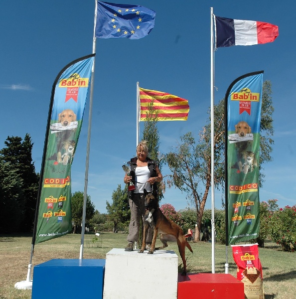 Dune Des loups mutins - RCI 1