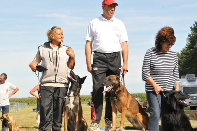 Dune Des loups mutins - RCI 1