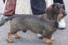 Publication : Too-Kiss