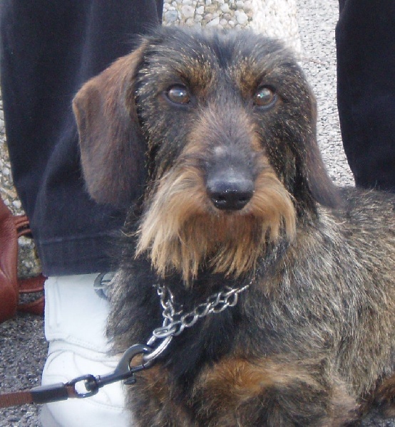 Publication : Too-Kiss