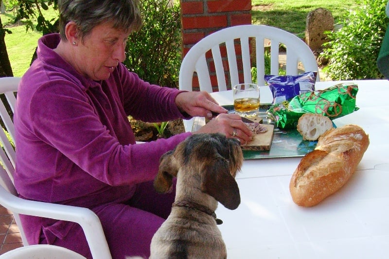 Linotte De la butte saint martin