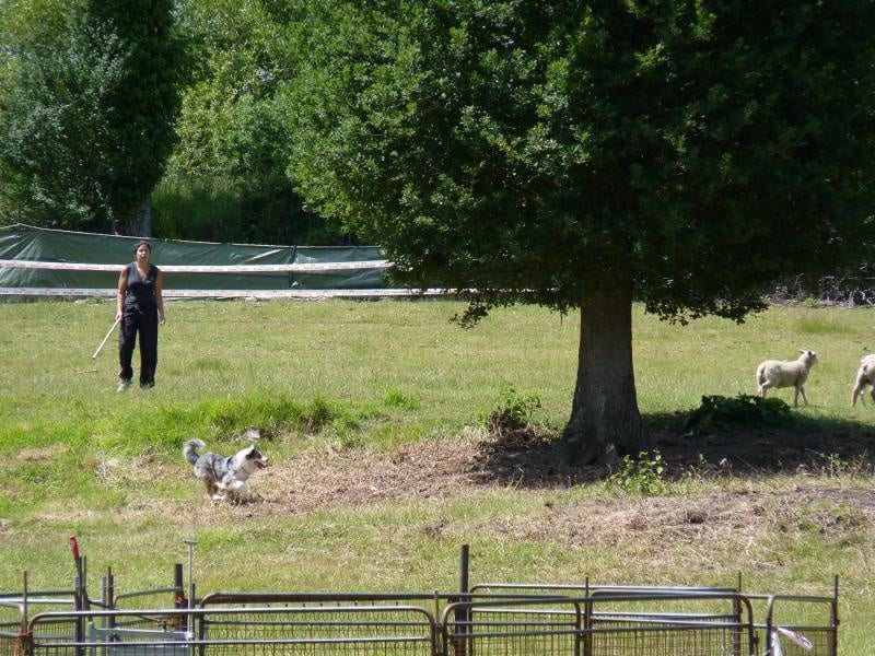 Céris at Napoleon's (dite Coconuts) De l'étang de pincemaille - Non classé, niveau 2