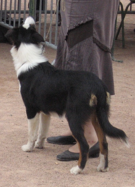 Eden's eternity tree (dite nity) de Solemel - Très Prometteur