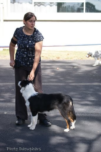 Eden's eternity tree (dite nity) de Solemel - 7ème Très Prometteur