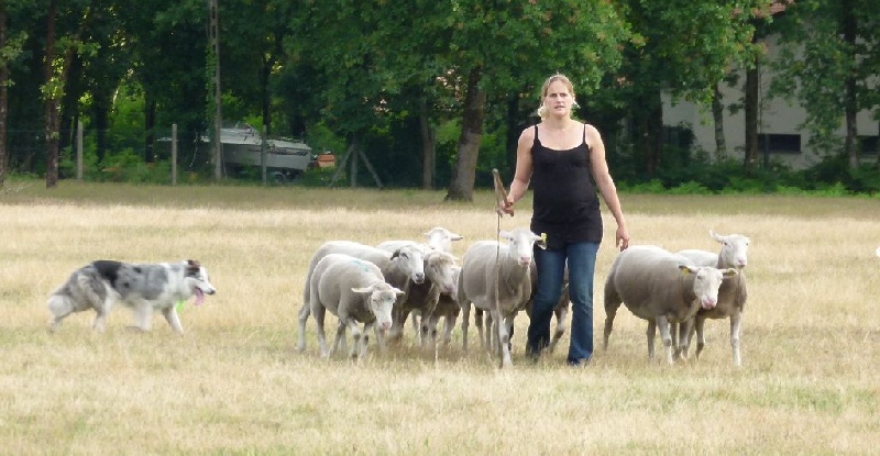 Publication : des Lacs de la Cote d'Argent