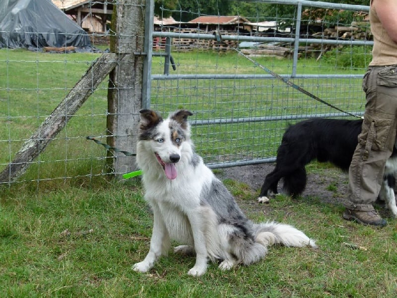 Publication : des Lacs de la Cote d'Argent