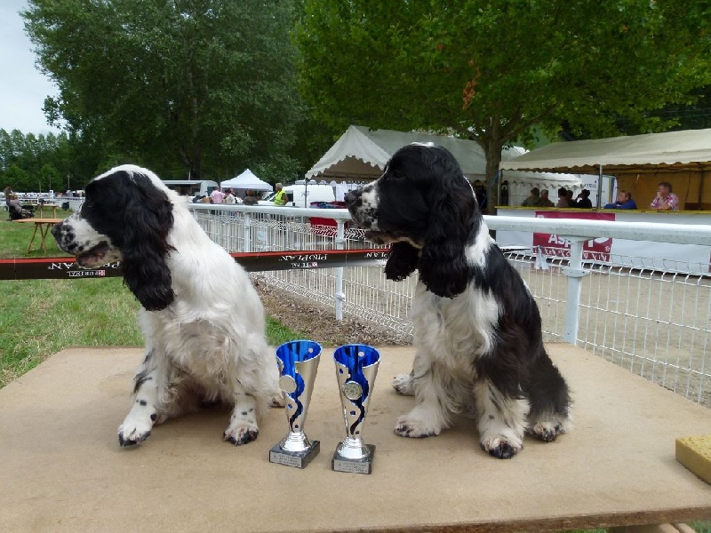 Ice tea des Lacs de la Cote d'Argent