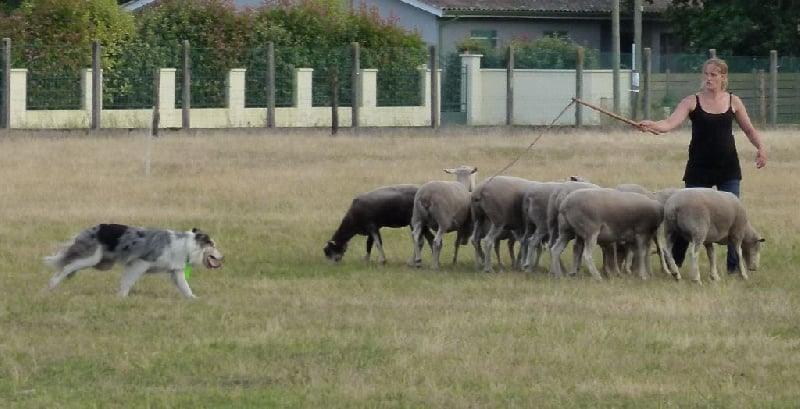 Publication : des Lacs de la Cote d'Argent