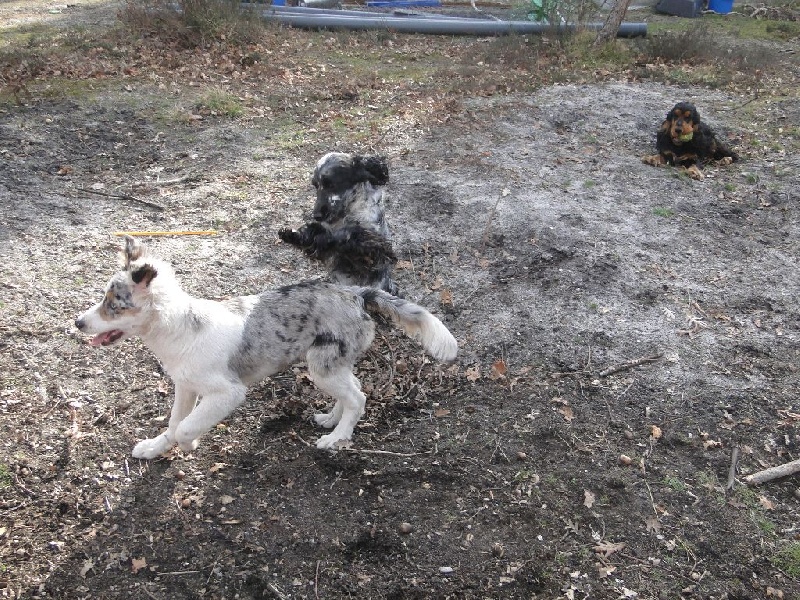 Publication : des Lacs de la Cote d'Argent