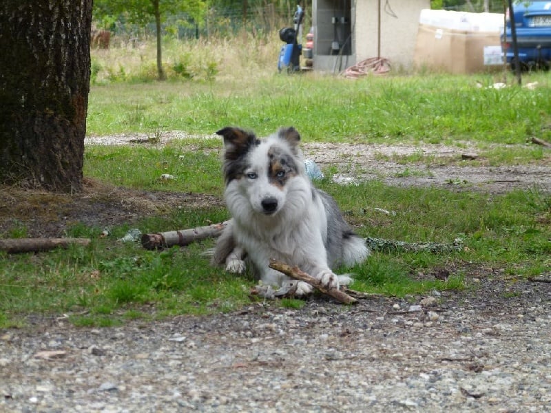 Publication : des Lacs de la Cote d'Argent